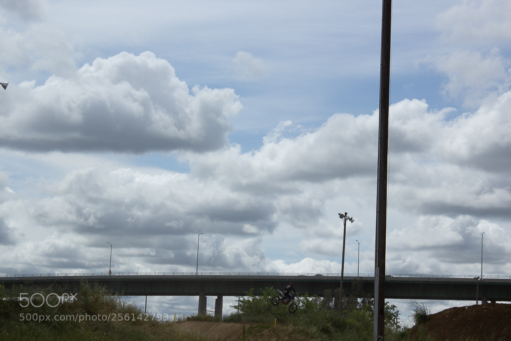 Canon EOS 600D (Rebel EOS T3i / EOS Kiss X5) sample photo. Img photography