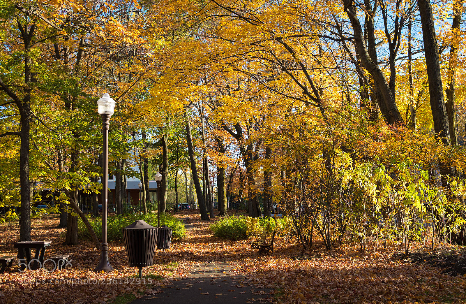 Nikon D7200 sample photo. Parc samuel-holland photography