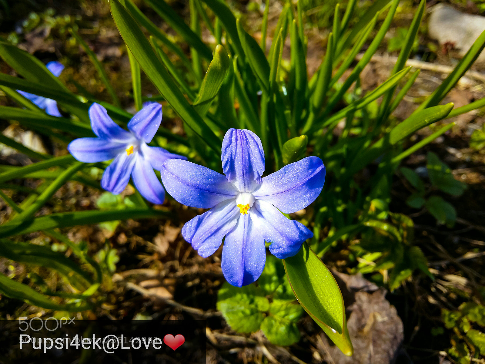 Samsung Galaxy A5 sample photo. Untitled photography