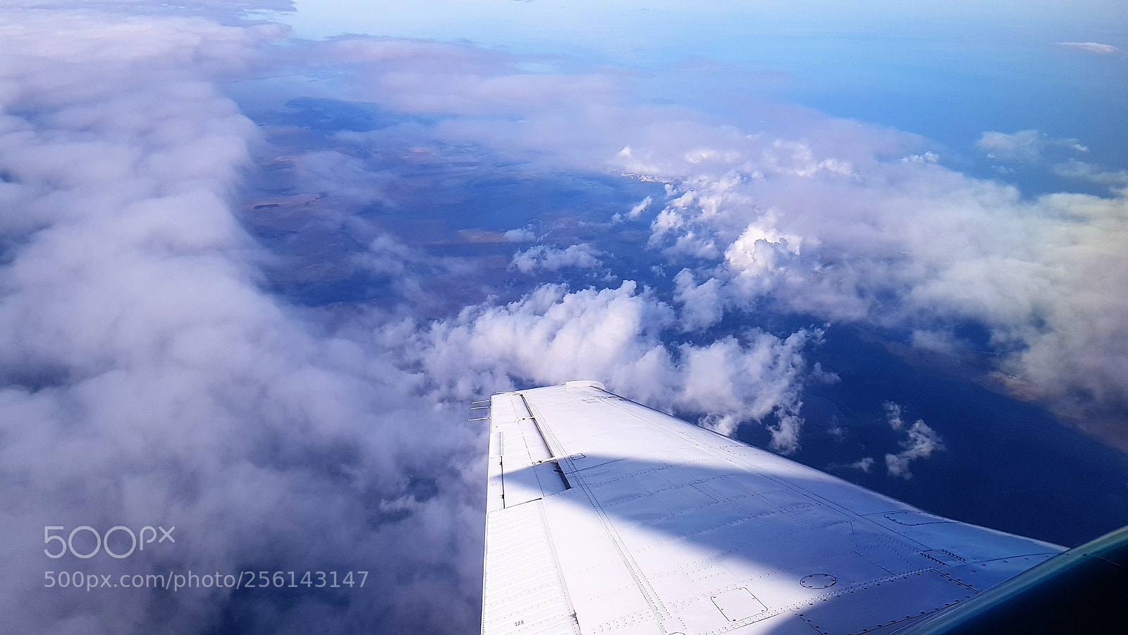 Samsung Galaxy S8 sample photo. Wing photography