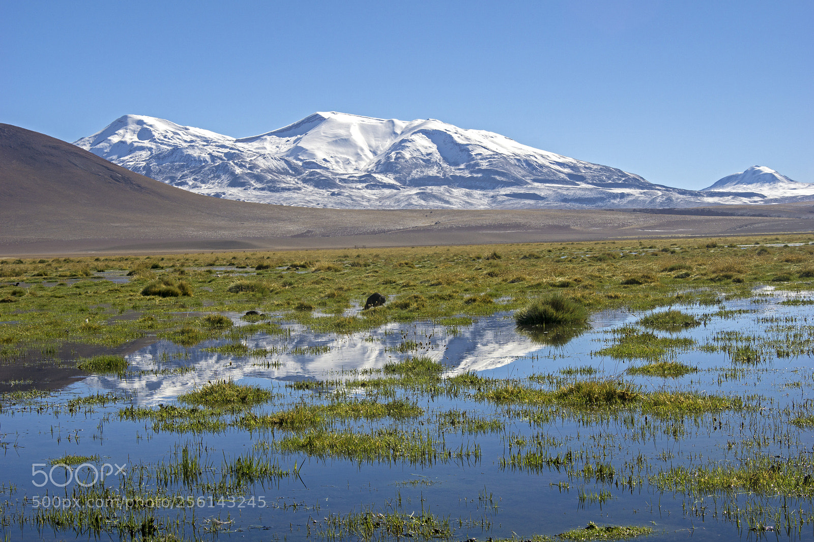 Sony a6000 sample photo. Wetland in atacama desert photography