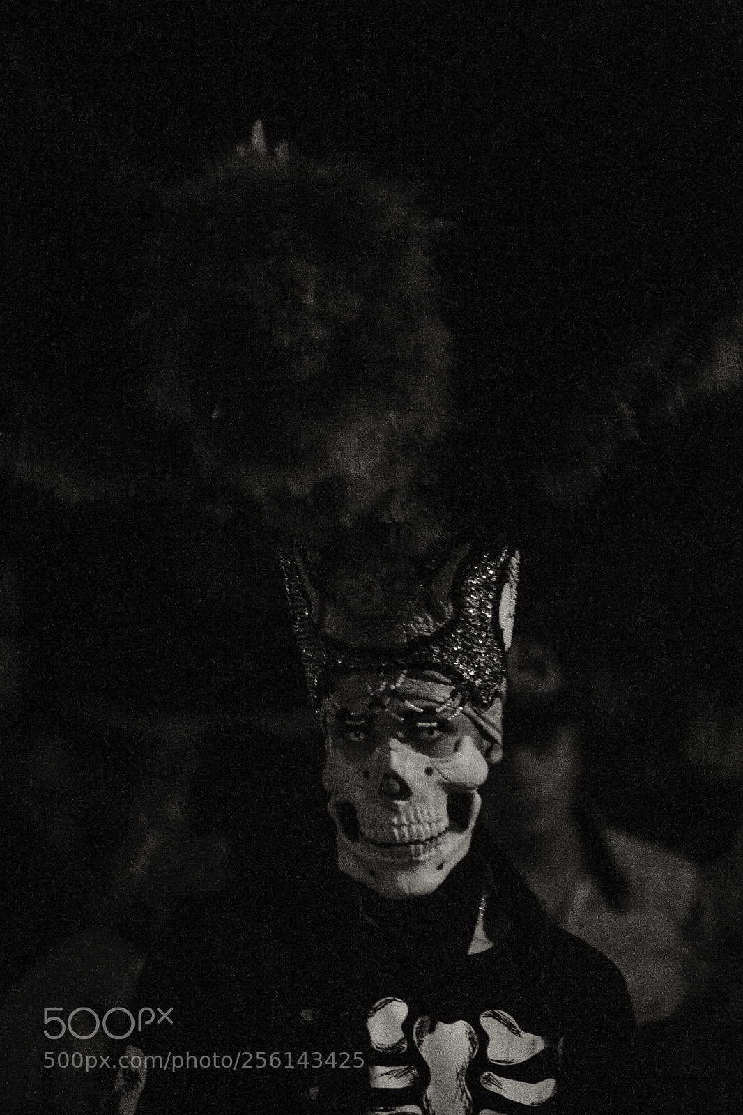 Canon EOS 5D sample photo. Untitled photography