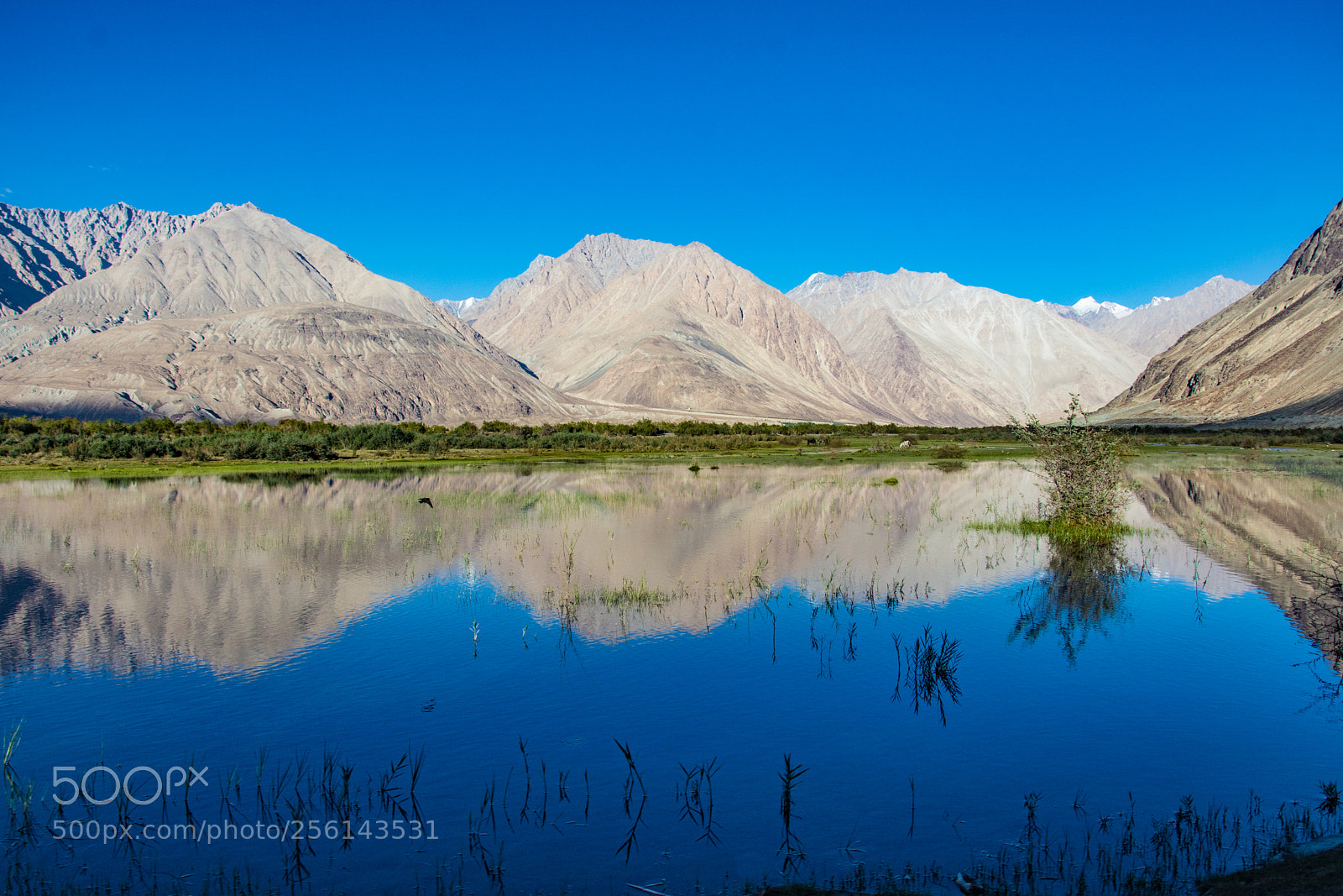 Nikon D7200 sample photo. Reflections photography