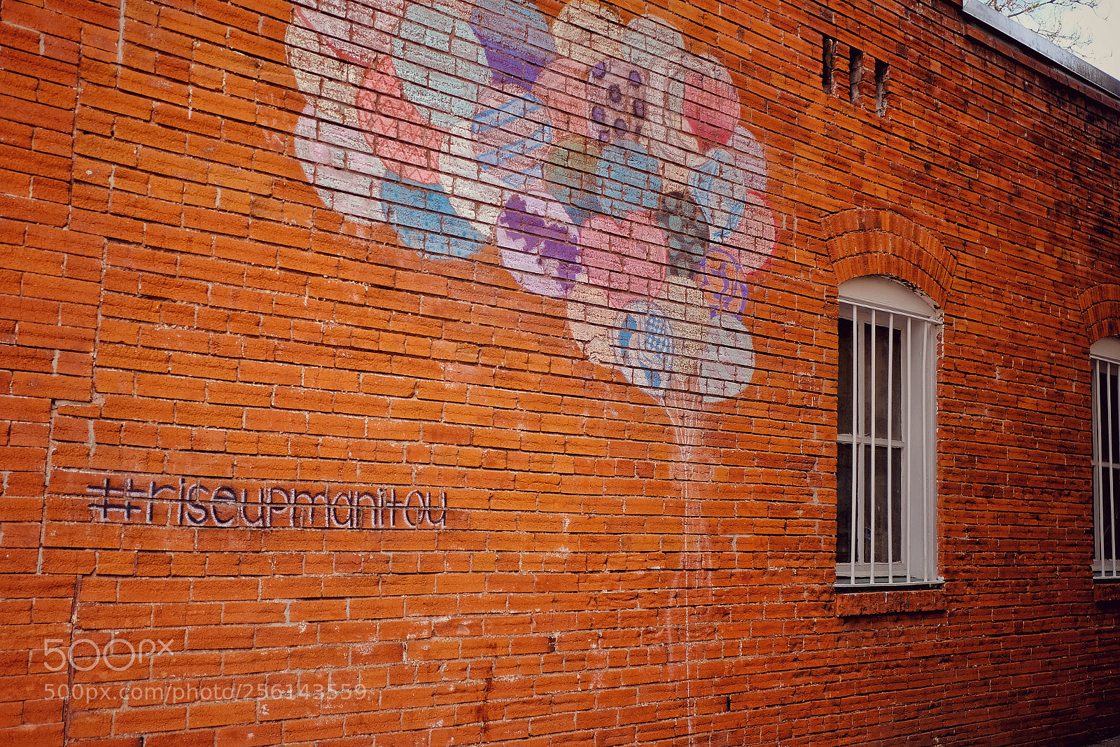 Fujifilm X-H1 sample photo. An afternoon spent in photography