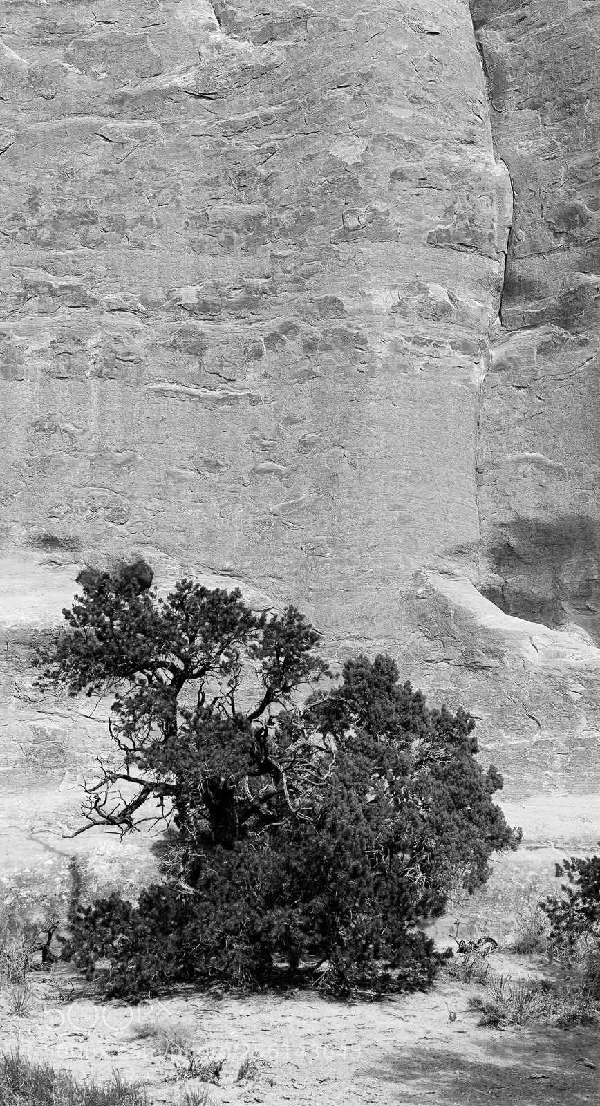 Canon EOS 5DS R sample photo. Sand dune arch trail photography