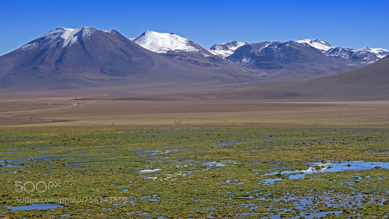 Sony a6000 sample photo. Atacama desert photography