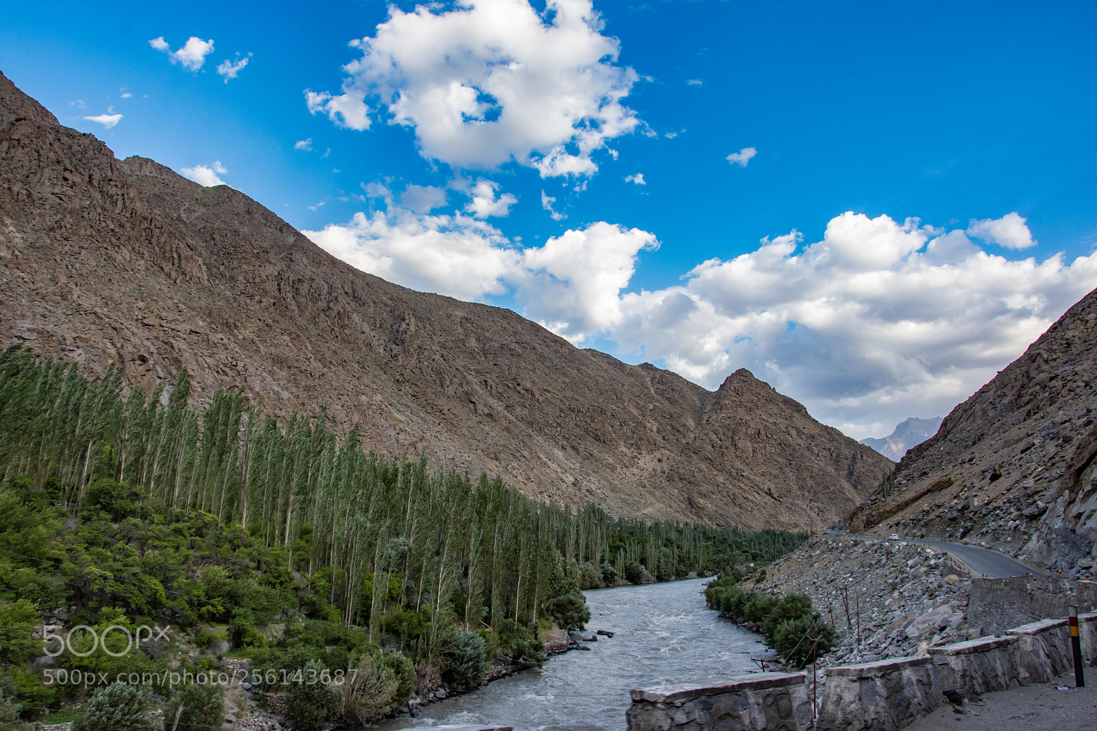 Nikon D7200 sample photo. River, forest, mountains! photography
