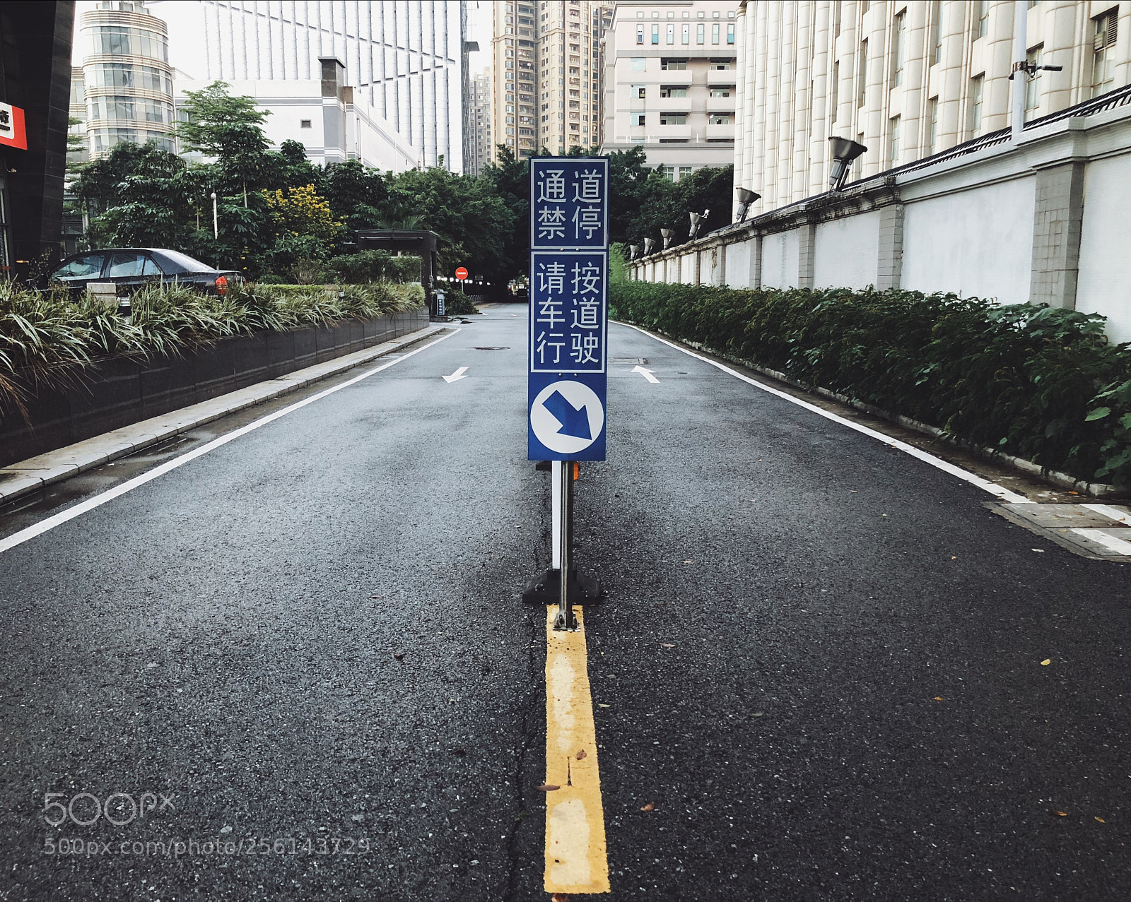 Apple iPhone 8 sample photo. 佛山 photography