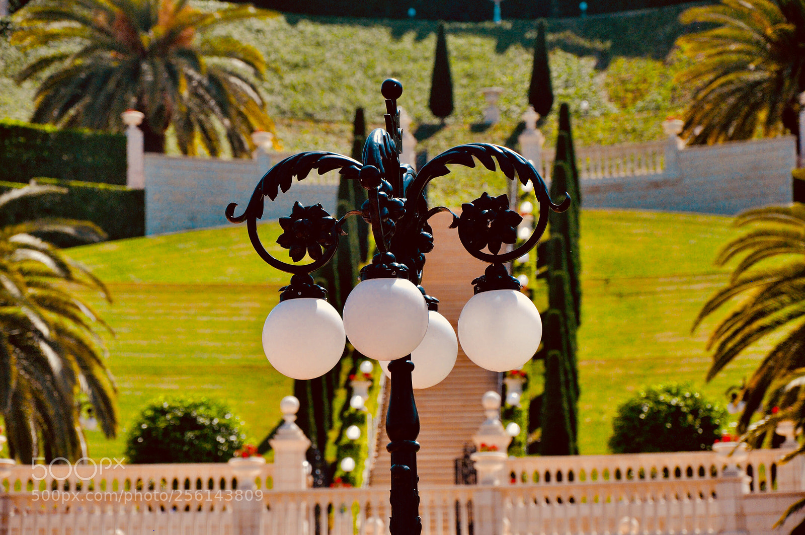 Nikon D90 sample photo. Untitled photography