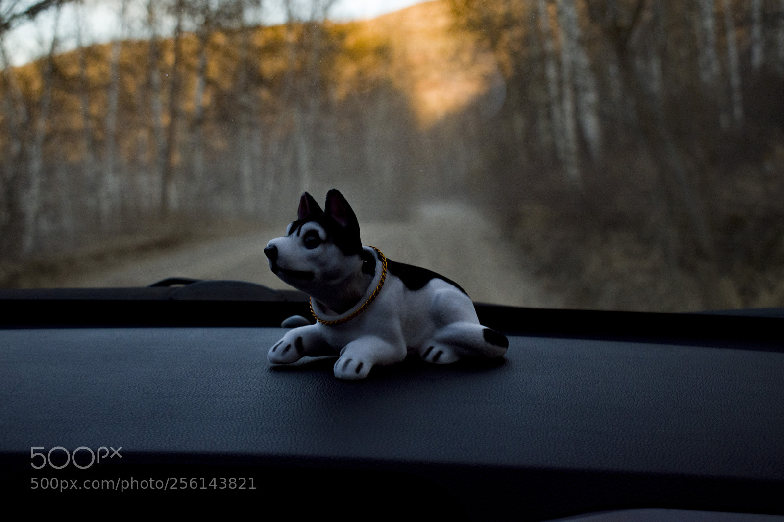 Nikon D5600 sample photo. Untitled photography