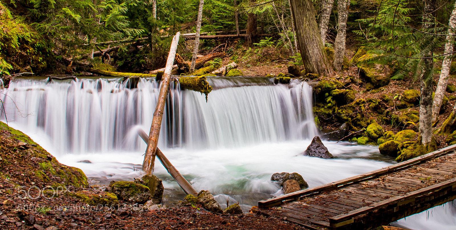 Nikon D750 sample photo. Kachees lake trail head photography