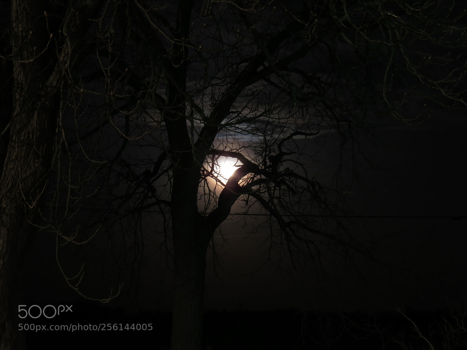 Canon PowerShot SX50 HS sample photo. May 1, 2018 moon photography
