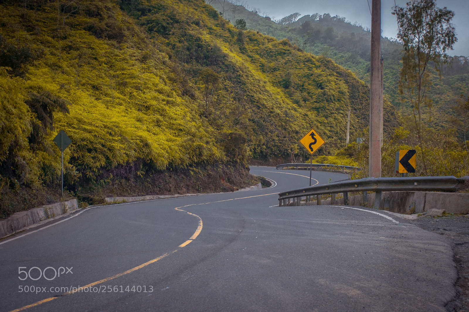 Nikon D3400 sample photo. Zig zag hacia abajo photography