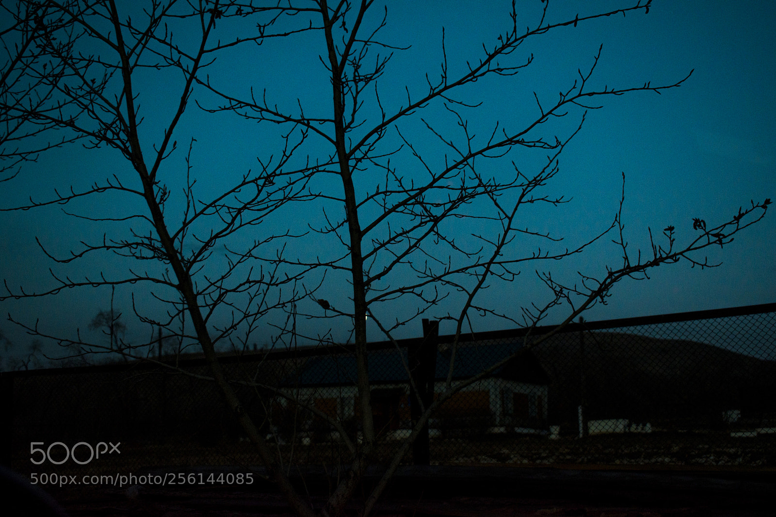 Nikon D5600 sample photo. Untitled photography