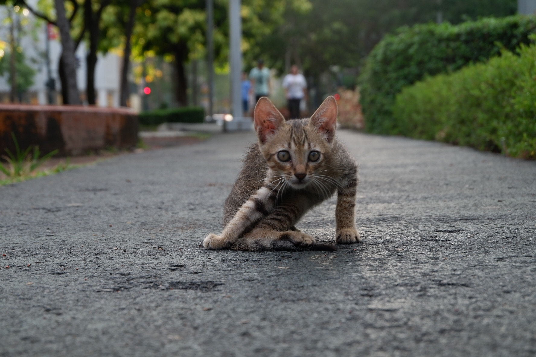 Fujifilm X-A10 sample photo. What are you looking at? photography