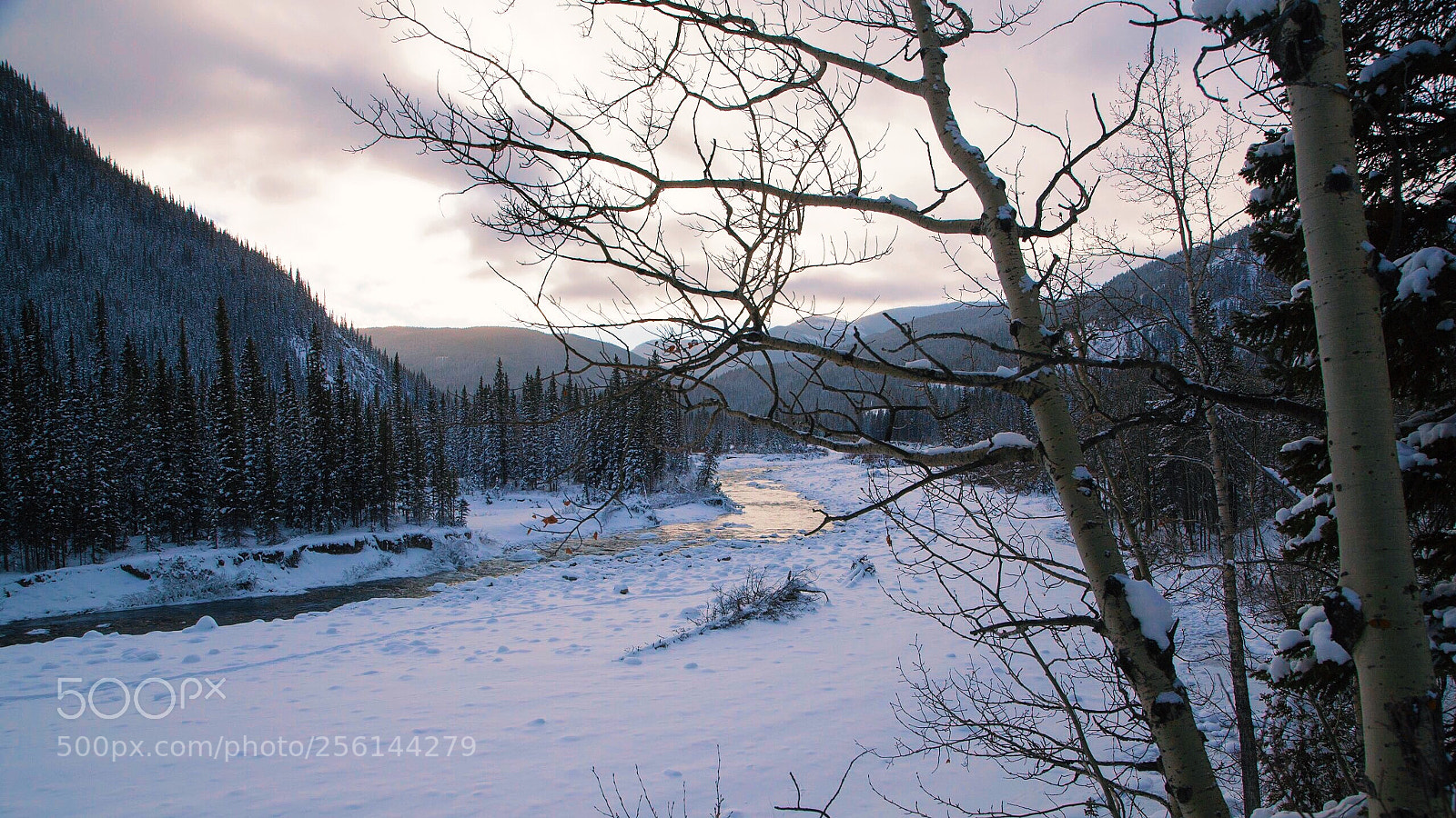Canon EOS 5D Mark II sample photo. The solitude  photography