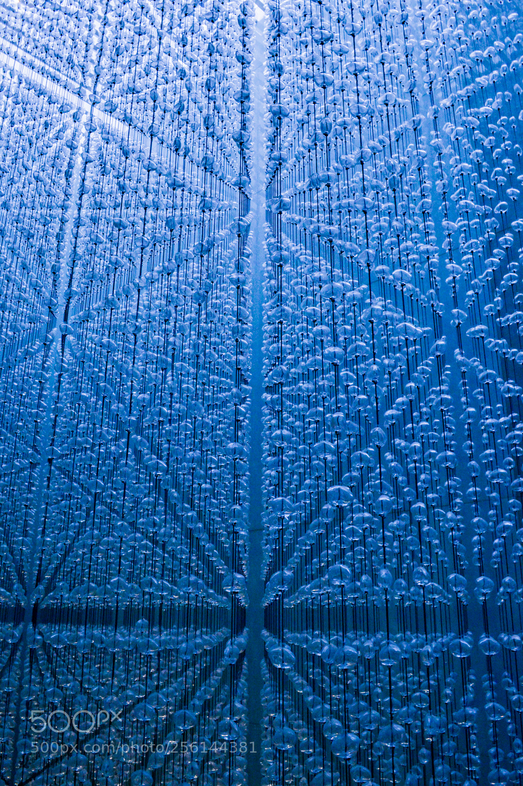 Nikon D3200 sample photo. Lines and bubbles photography