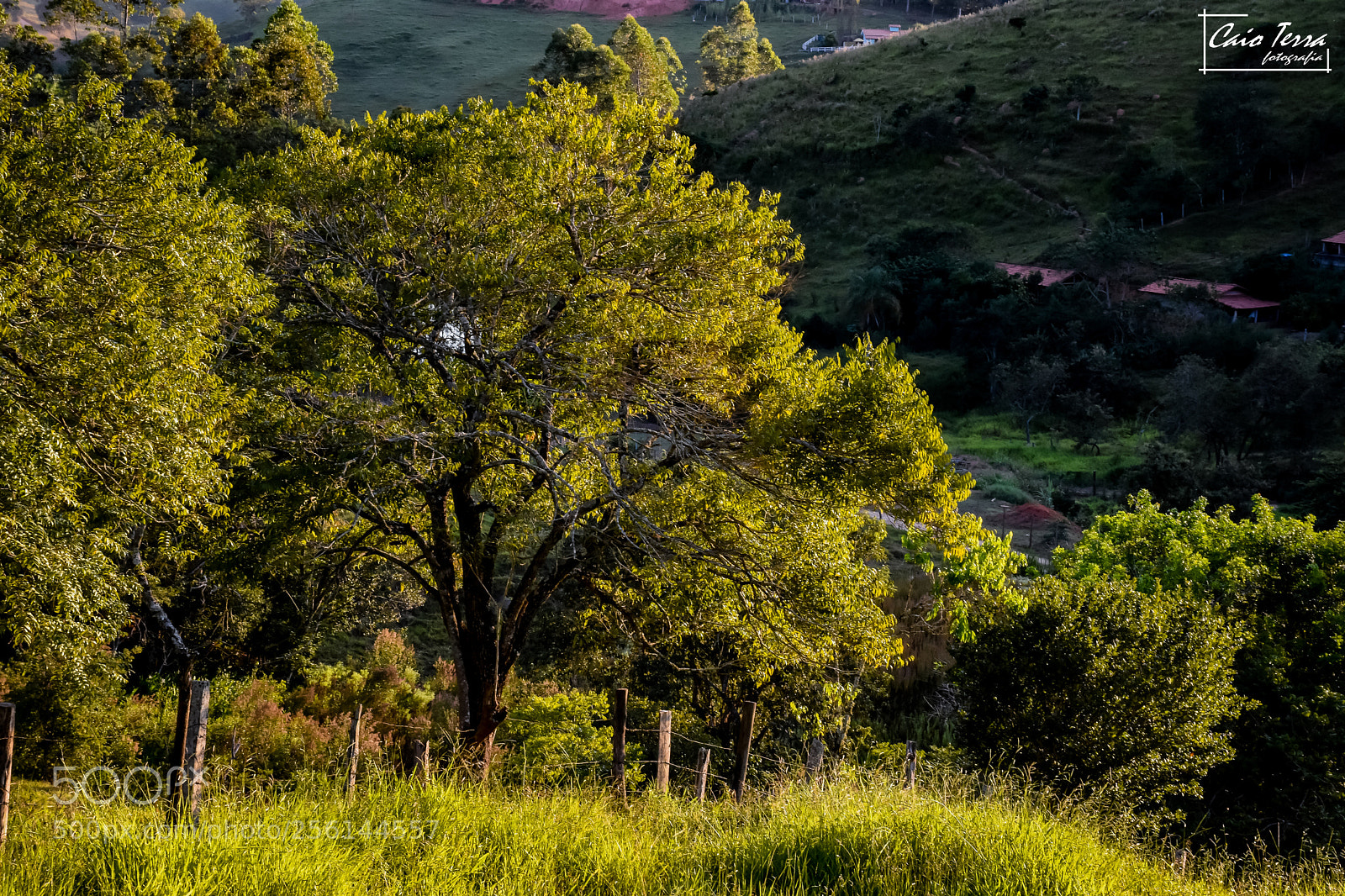 Nikon D7200 sample photo. Meu lar photography