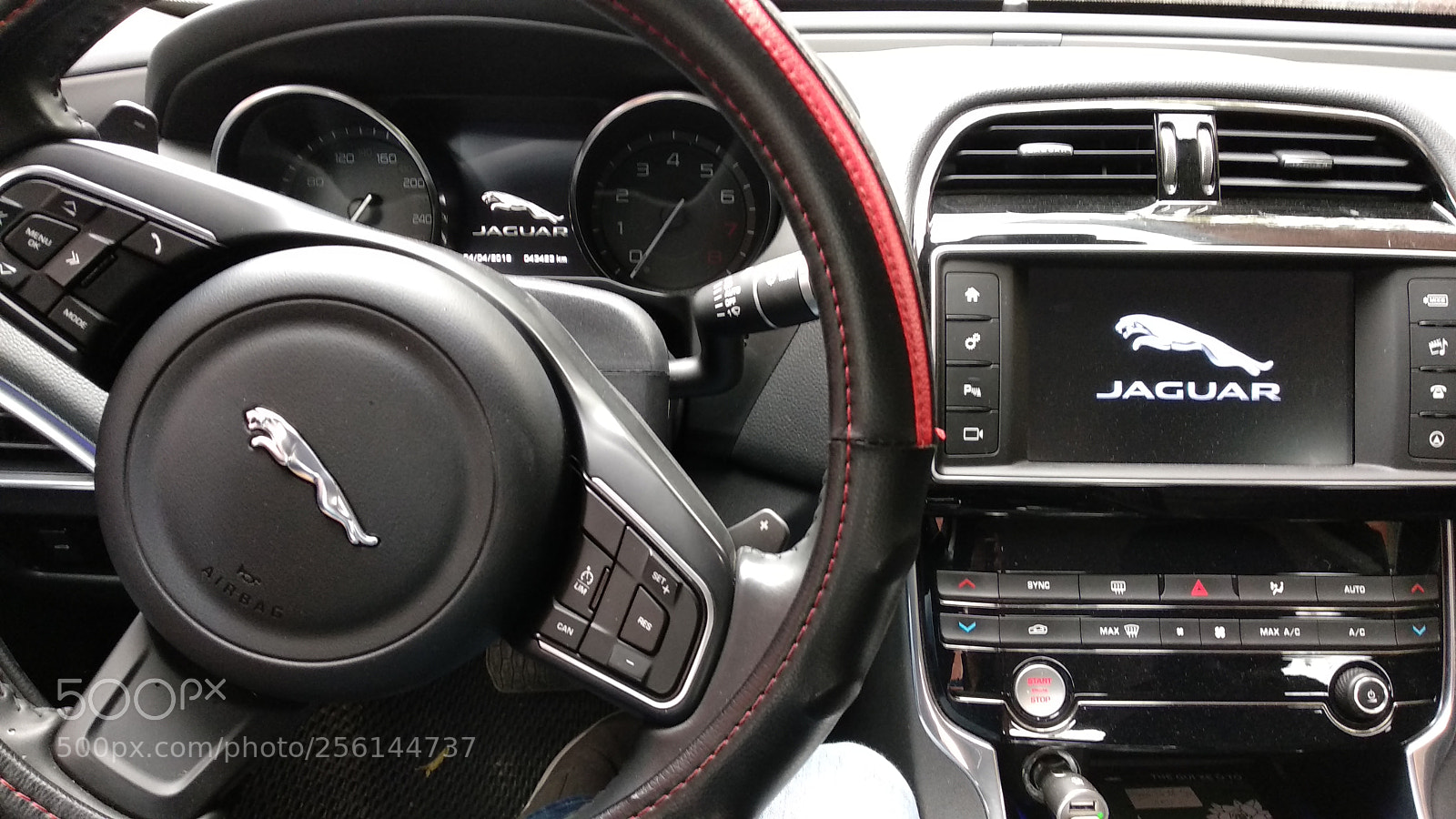 Xiaomi Mi A1 sample photo. My jaguar photography