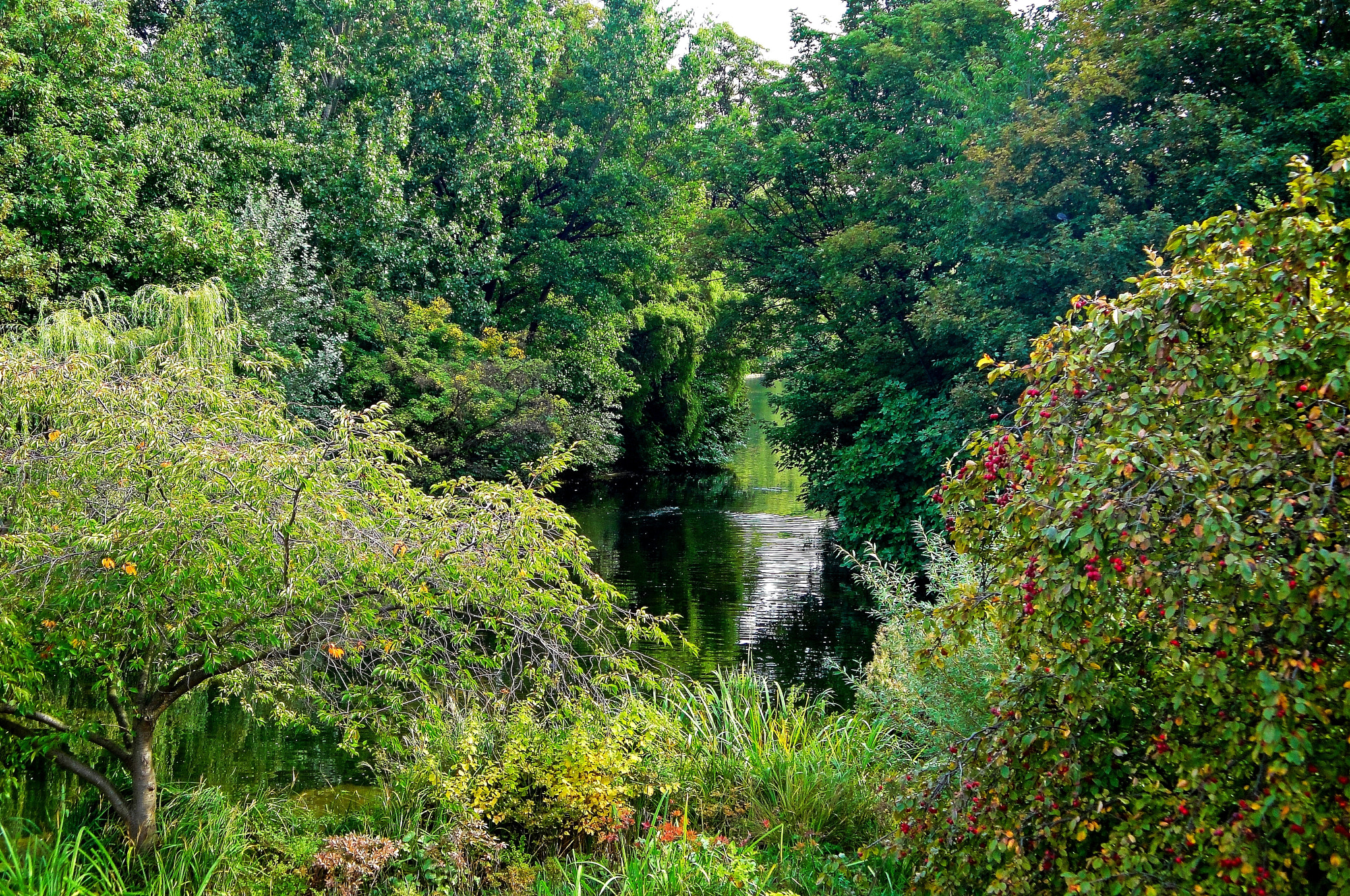 Sony Cyber-shot DSC-W290 sample photo. St james park vignette photography