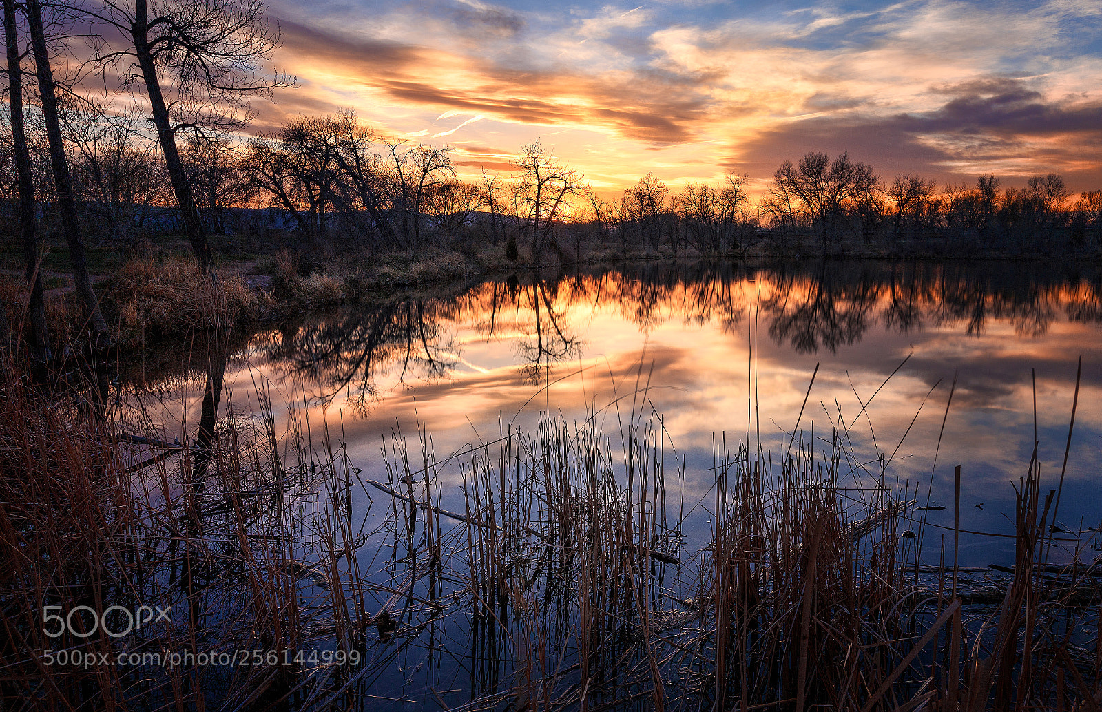 Canon EOS 6D sample photo. Reflected fire photography