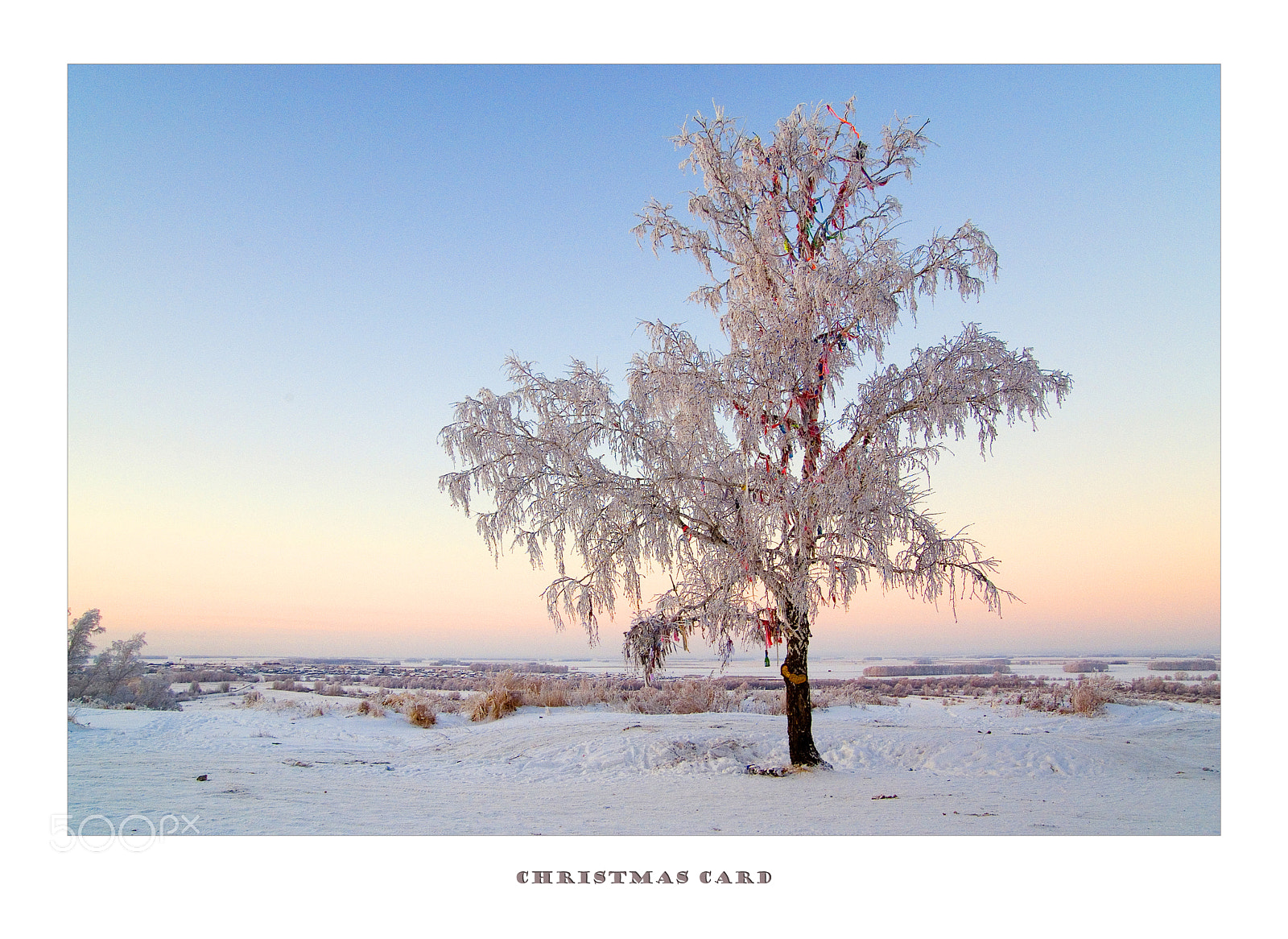 Fujifilm FinePix S3 Pro sample photo. Christmas card photography