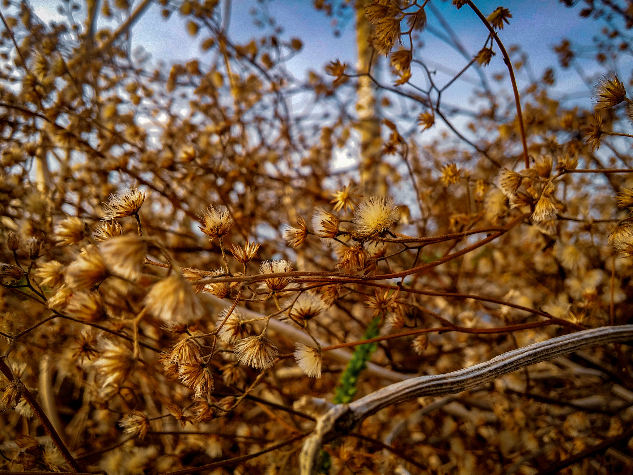 LG G3 CAT.6 sample photo