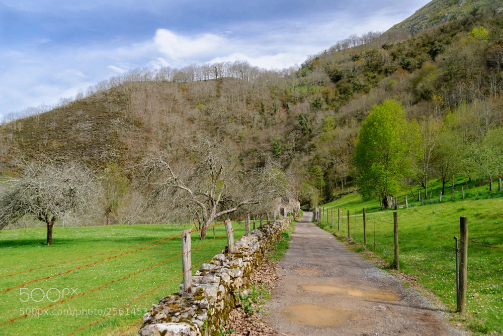 Nikon D3000 sample photo. Camino photography