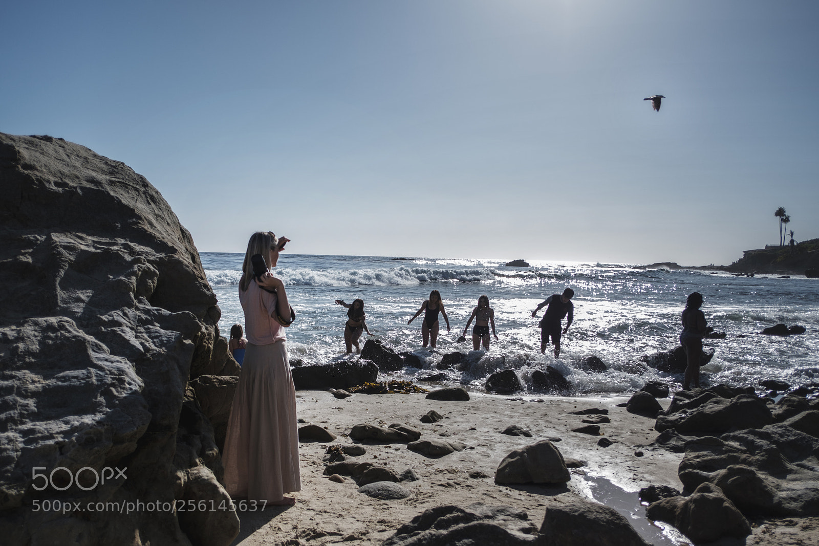 Fujifilm X-Pro2 sample photo. Dscf photography