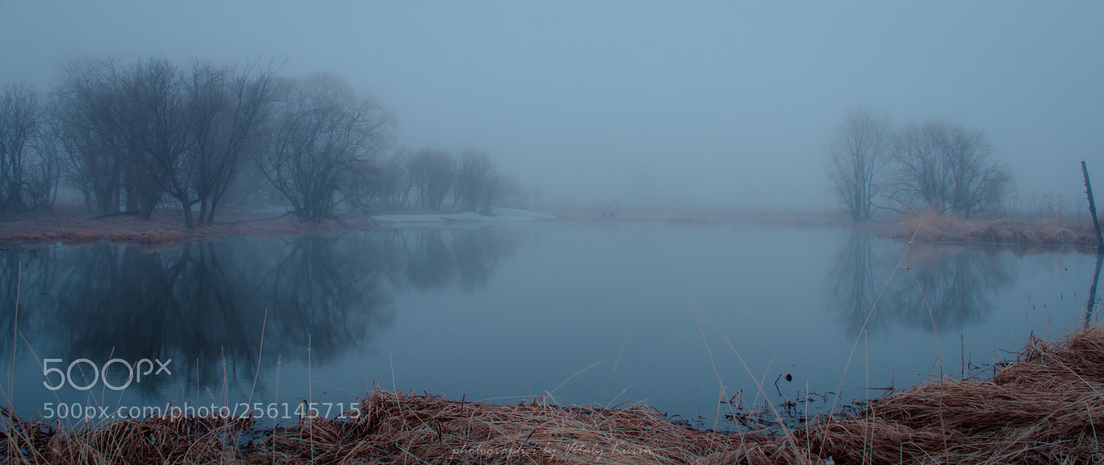 Nikon D7200 sample photo. *** photography