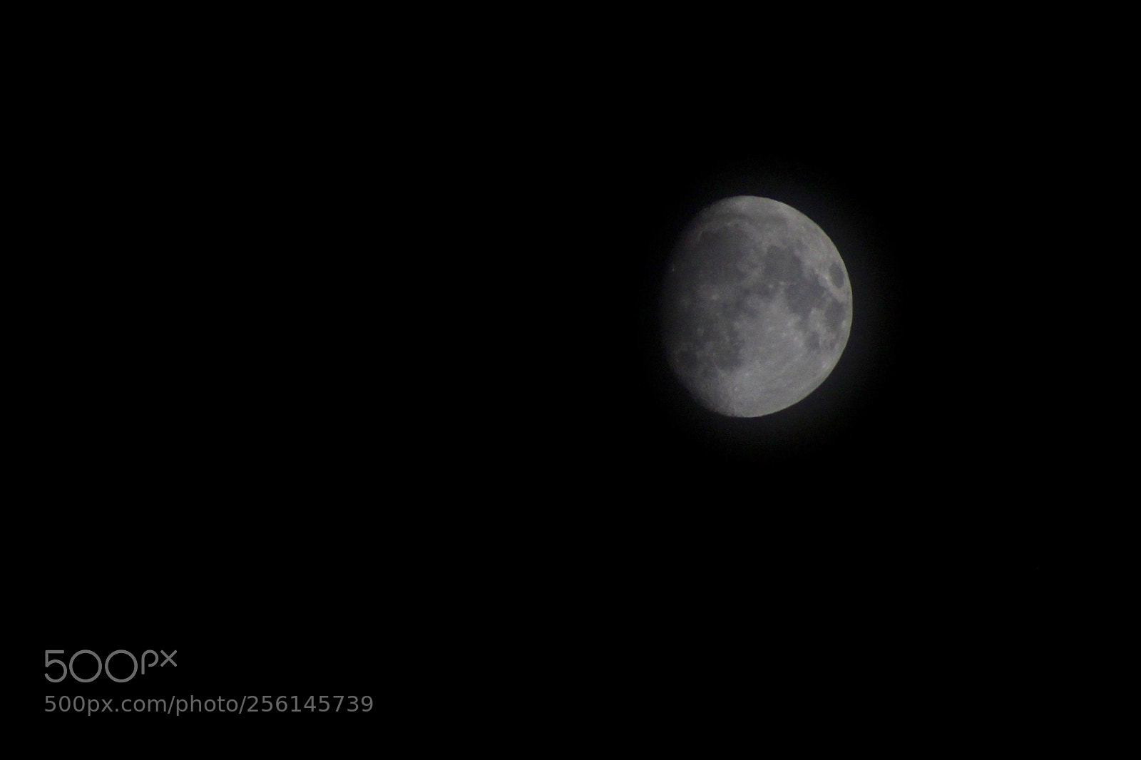 Canon EOS 700D (EOS Rebel T5i / EOS Kiss X7i) sample photo. Untitled photography