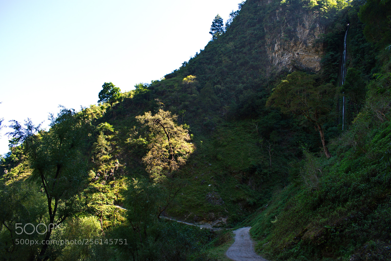 Nikon D5600 sample photo. Waterfall and road photography
