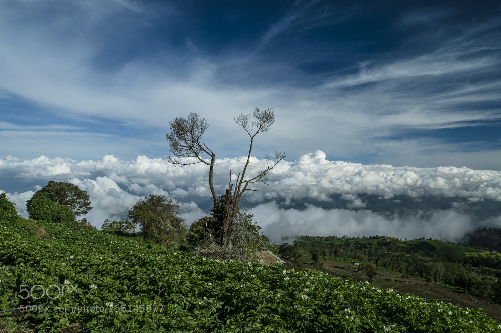 Canon EOS-1D X Mark II sample photo. Sun set-volcan turrialba photography