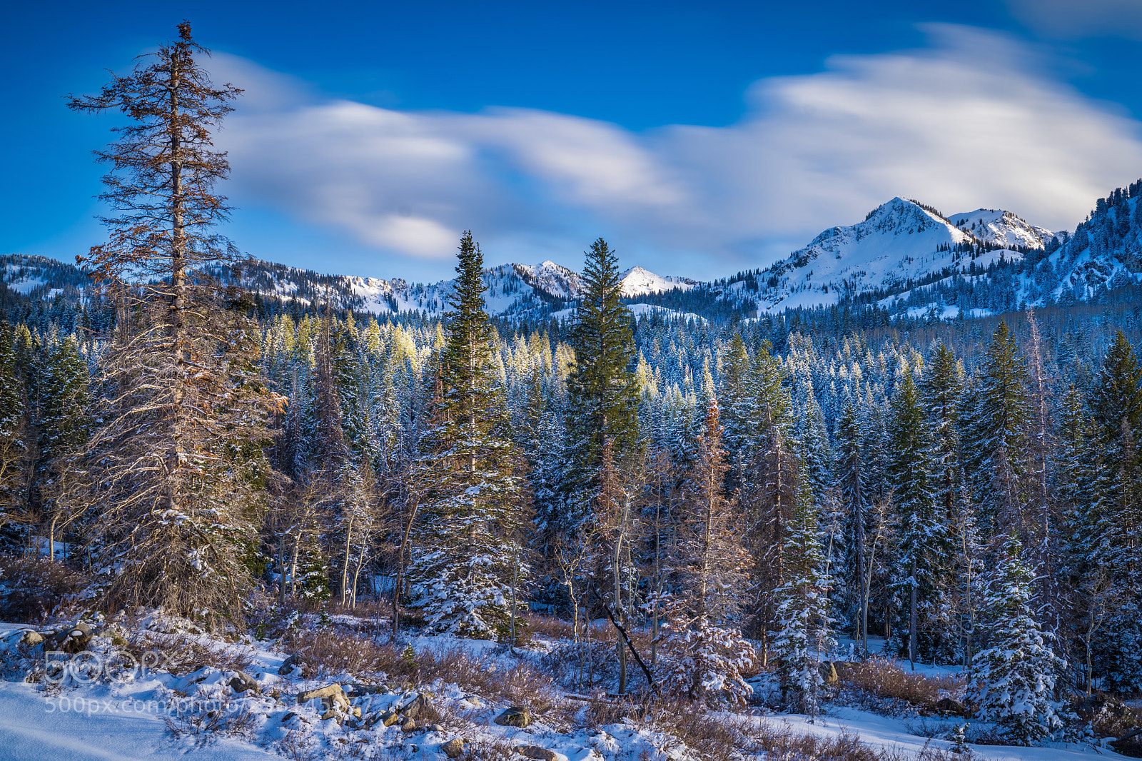 Sony a7R III sample photo. Late spring snowfall in photography