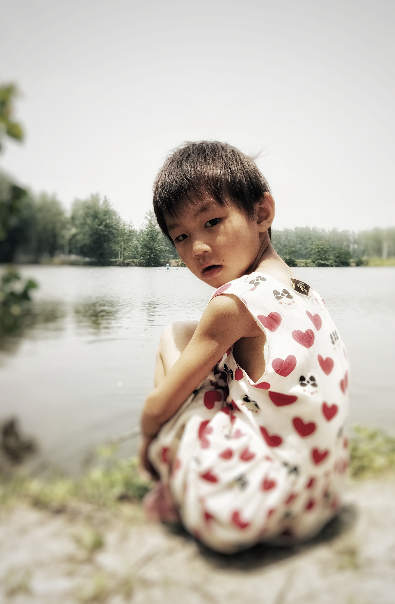 vivo PD1612 sample photo