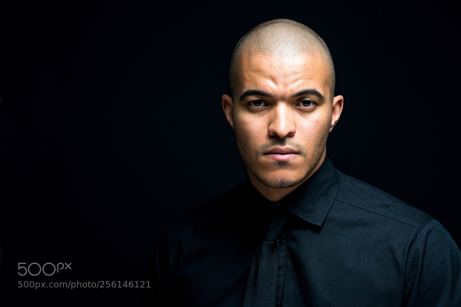 Nikon D800 sample photo. A studio headshot photography
