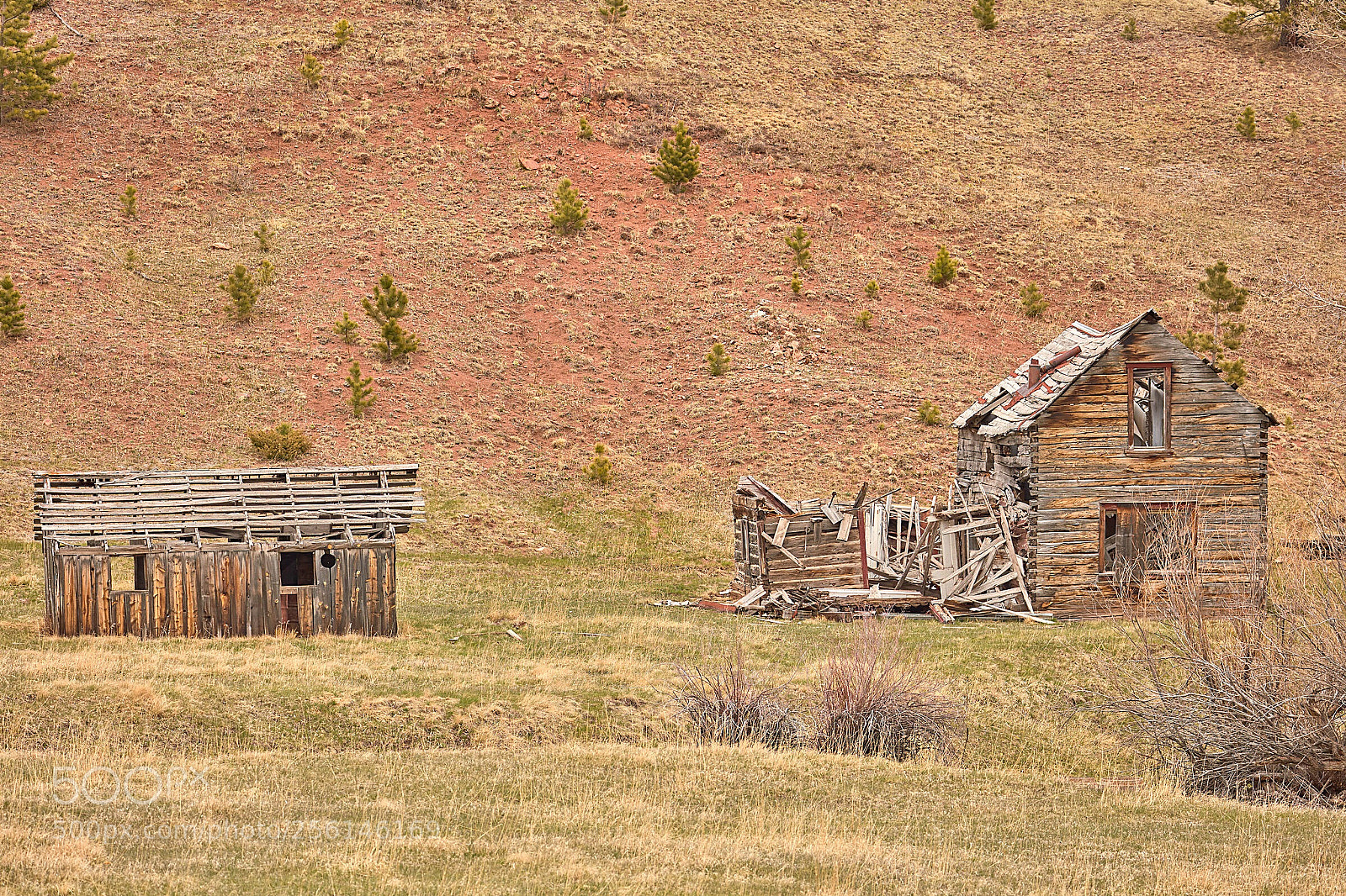 Canon EOS 5DS R sample photo. Homestead photography