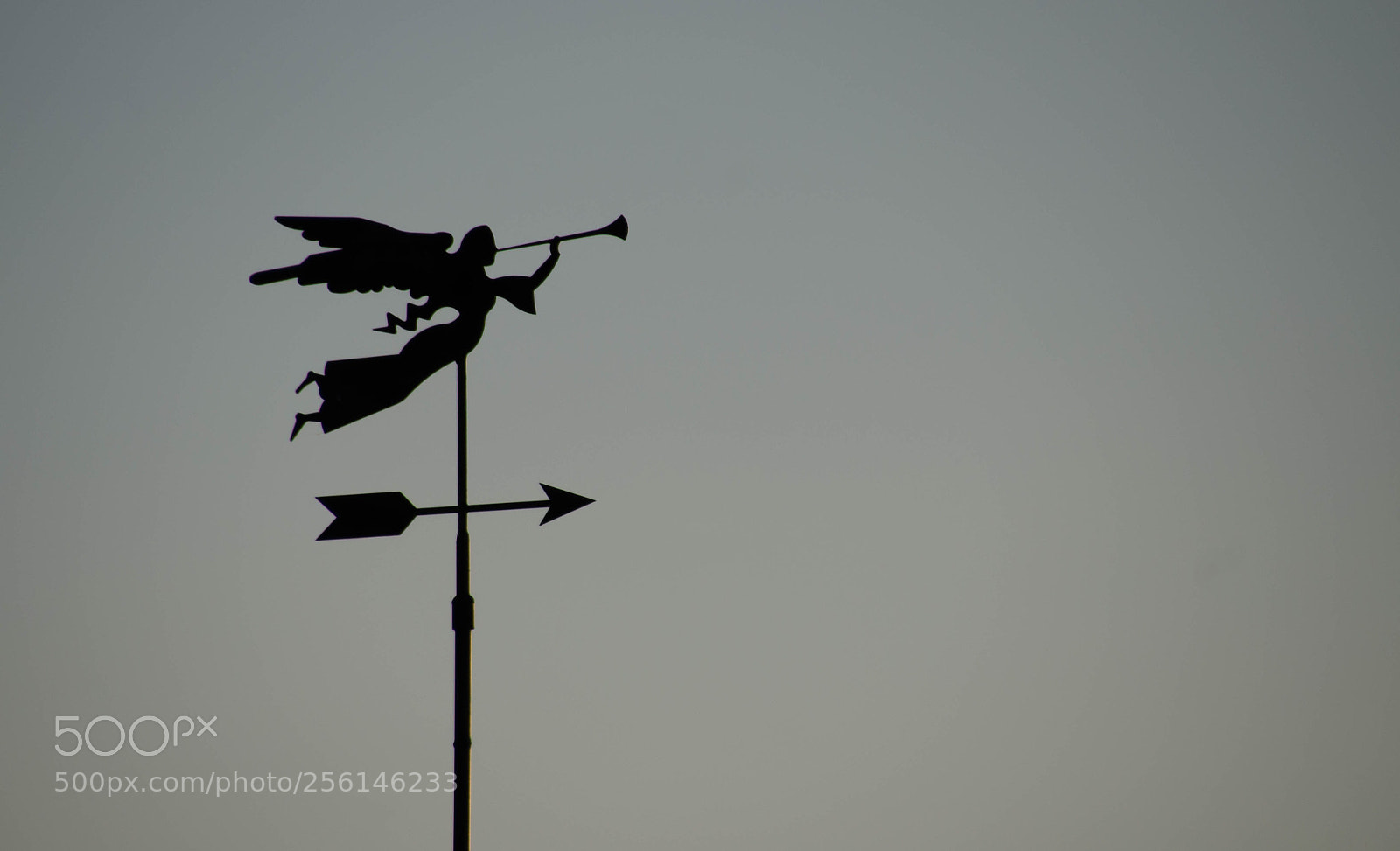 Nikon D5100 sample photo. En direcci n al photography