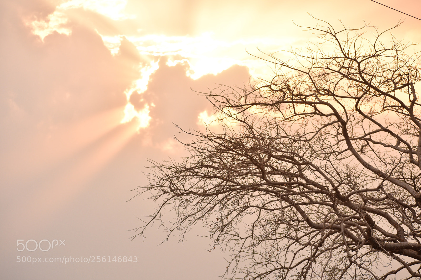 Nikon D3400 sample photo. Untitled photography