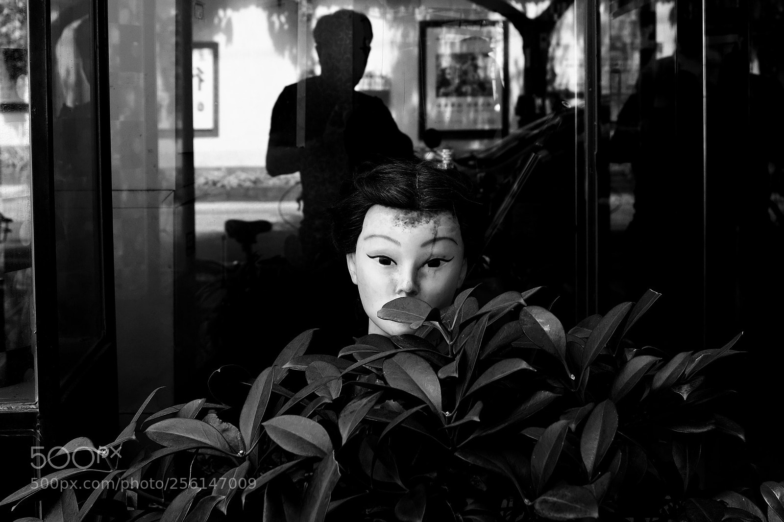 Fujifilm X100F sample photo. Untitled photography