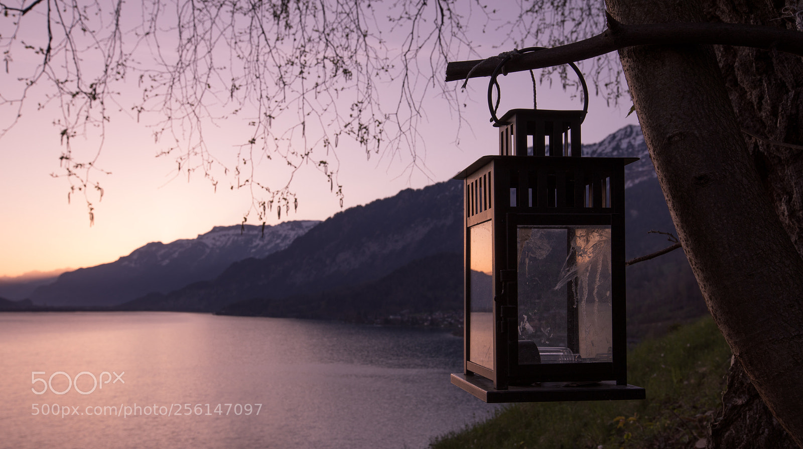 Canon EOS 5D Mark IV sample photo. Untitled photography