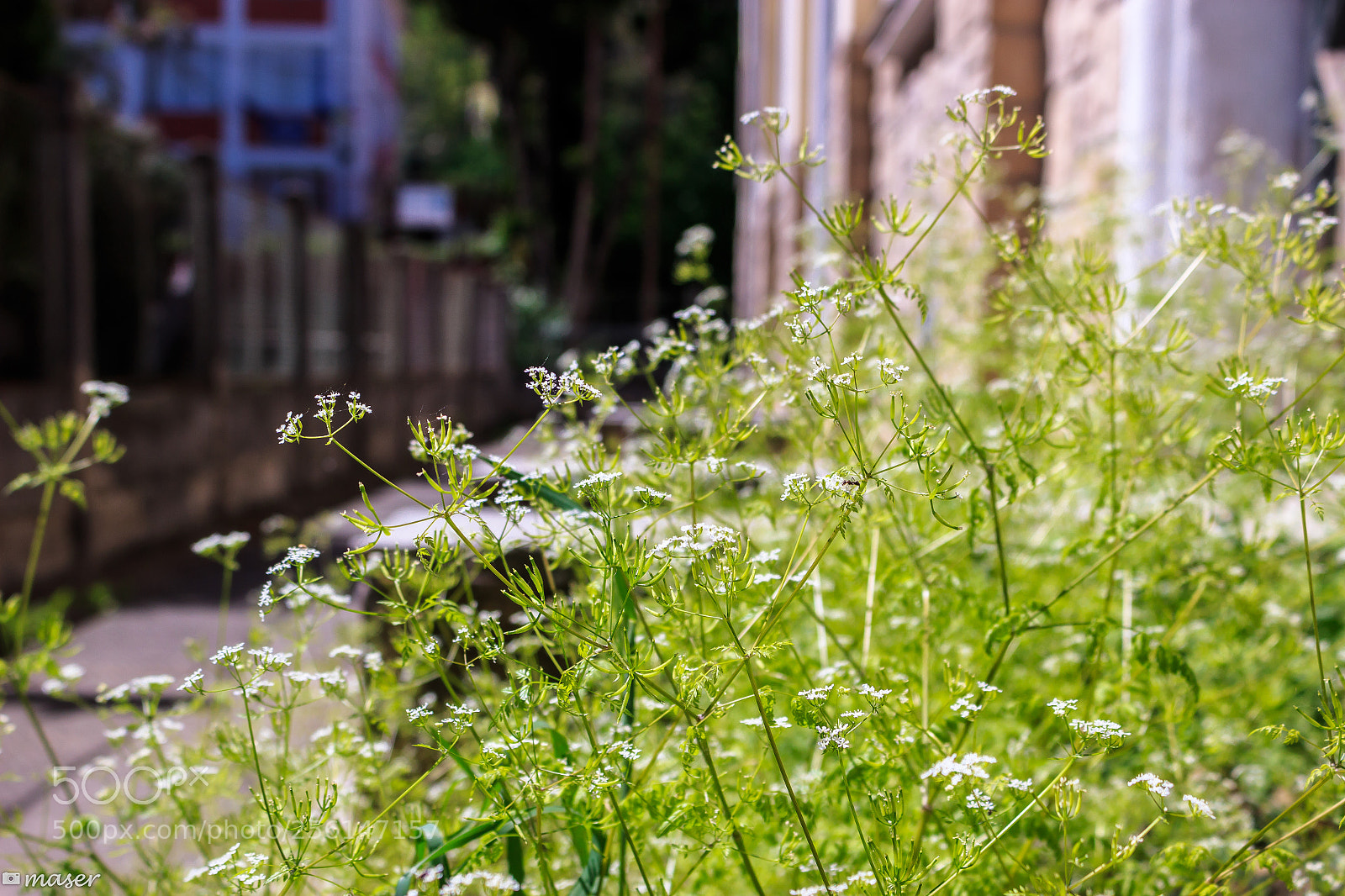 Canon EOS 100D (EOS Rebel SL1 / EOS Kiss X7) sample photo. Focused on shooting the photography