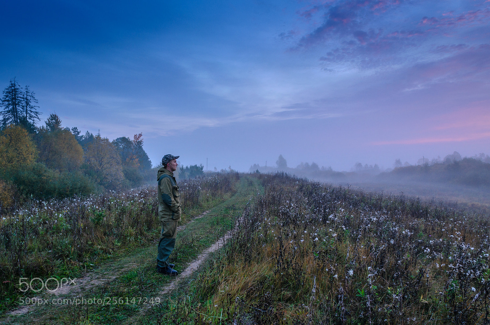 Nikon D5100 sample photo. Morning photography