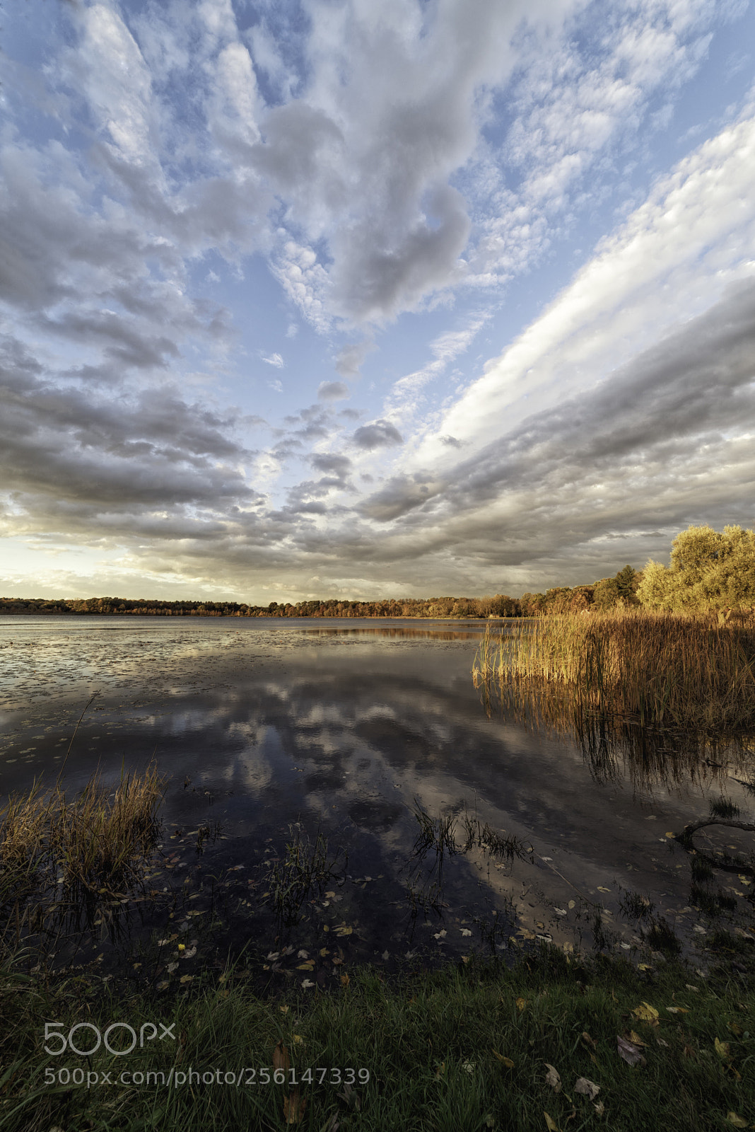 Nikon D750 sample photo. The fall photography