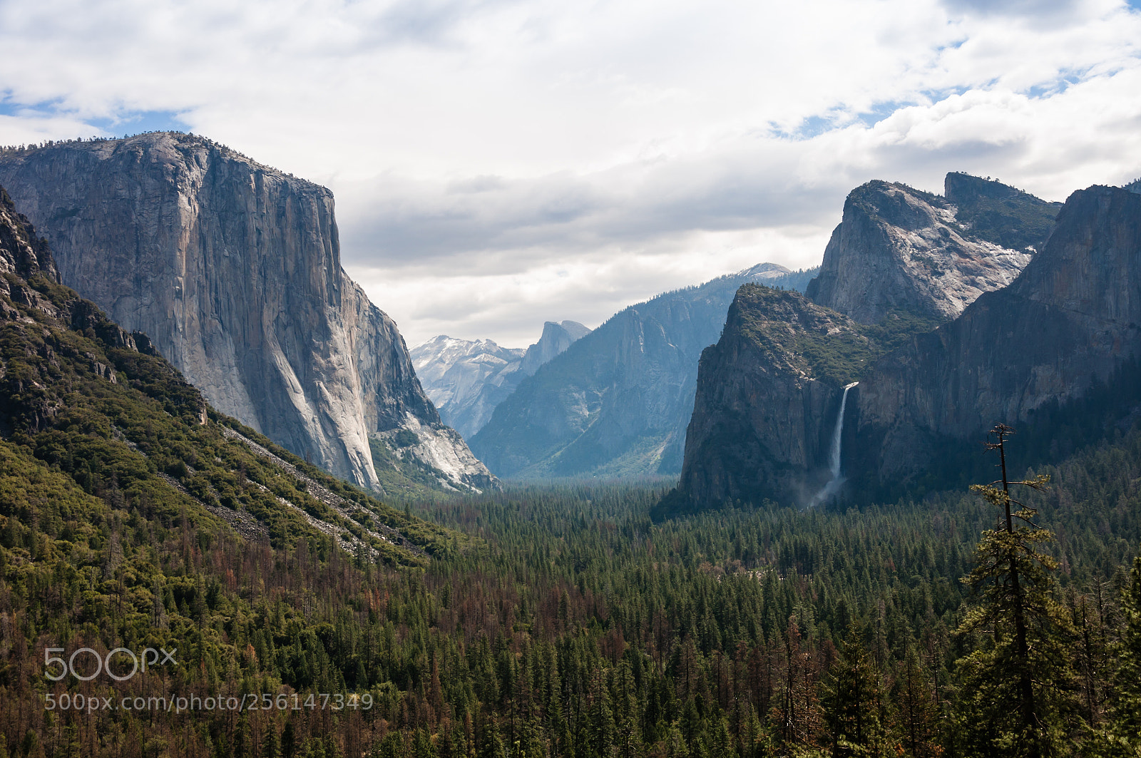 Nikon D90 sample photo. Tunnel view photography