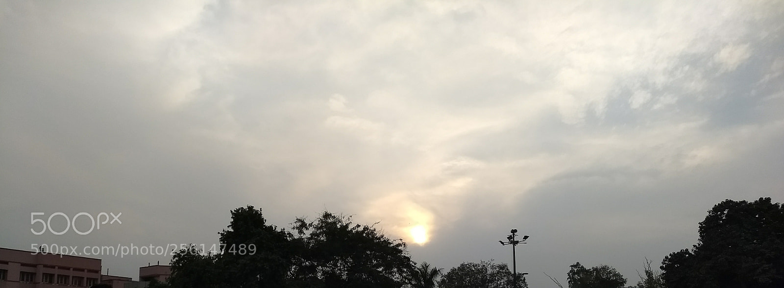 Motorola Moto G (5) Plus sample photo. Untitled photography