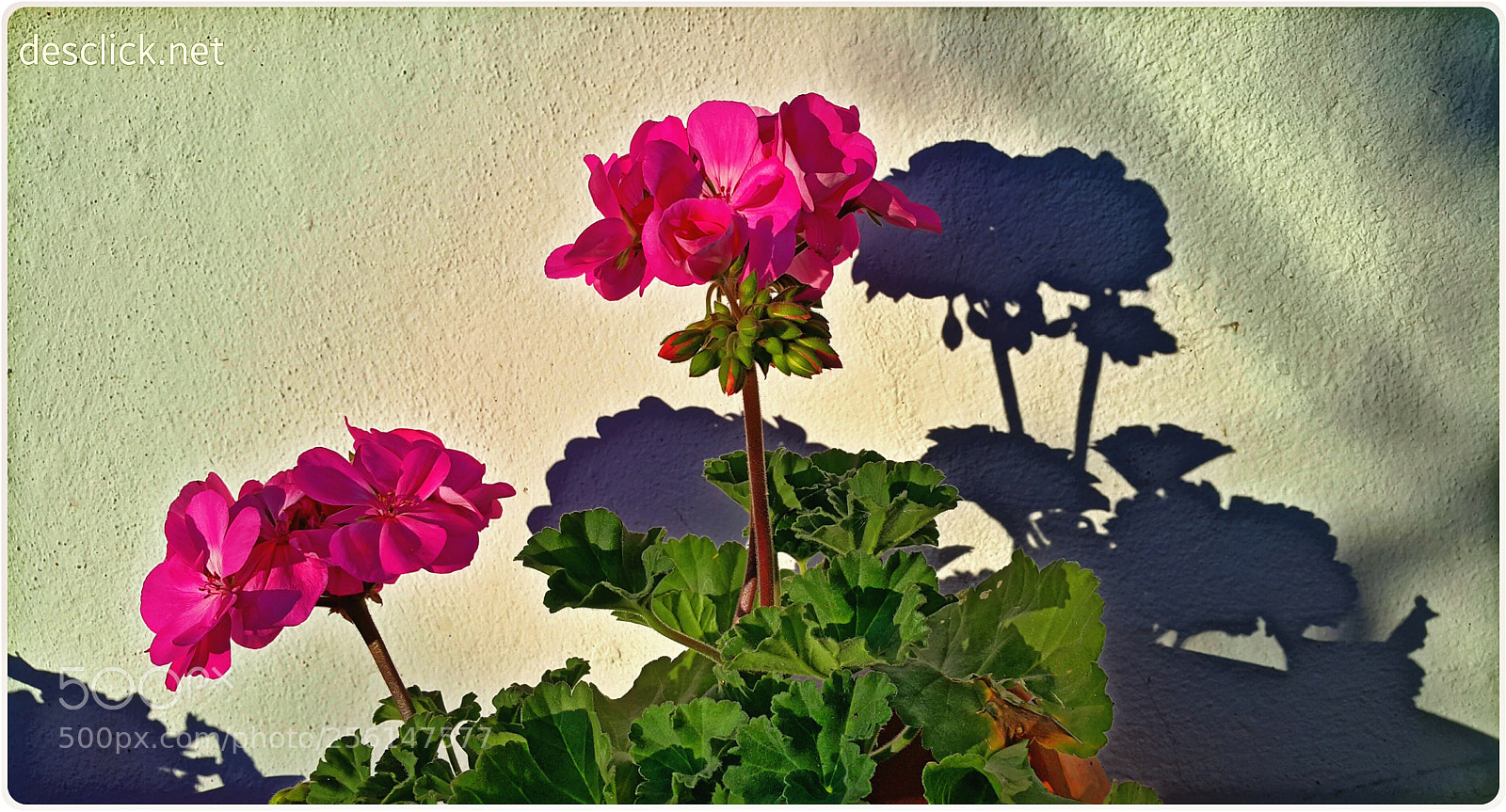Samsung Galaxy Note4 sample photo. Enjoying simplicity photography