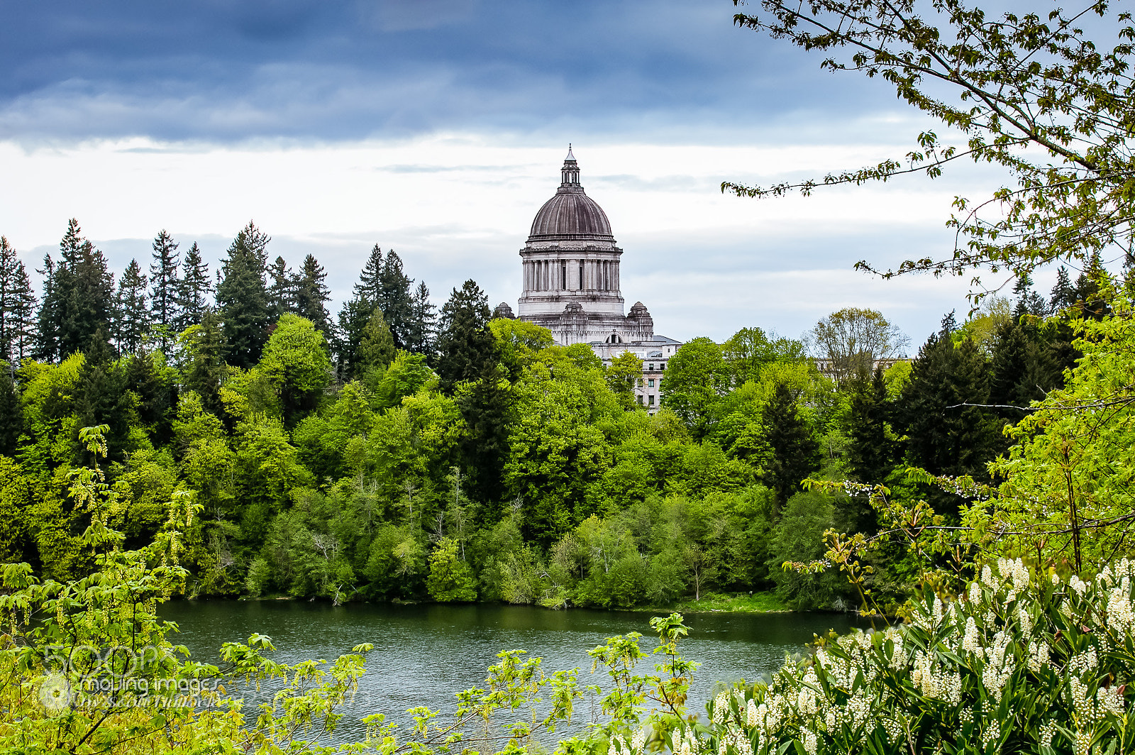 Canon EOS 6D sample photo. Olympia wa official colors photography