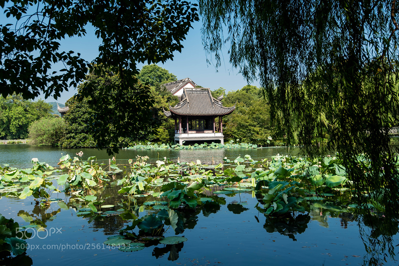 Nikon D750 sample photo. Lotus lake photography