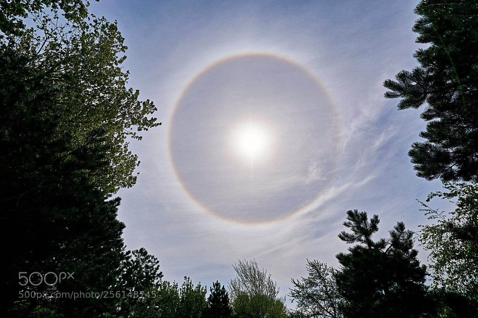 Sony ILCA-77M2 sample photo. Halo photography